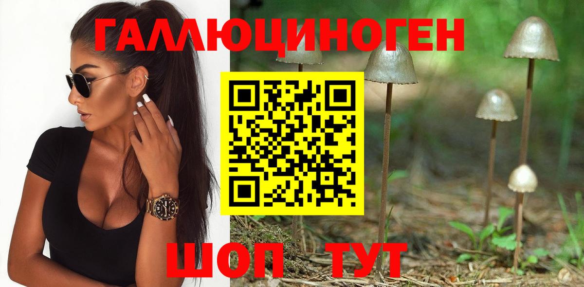 Галлюциногенные грибы мицелий  Галлюциногенные грибы прущие грибы  Можайск  Вход с VPN 